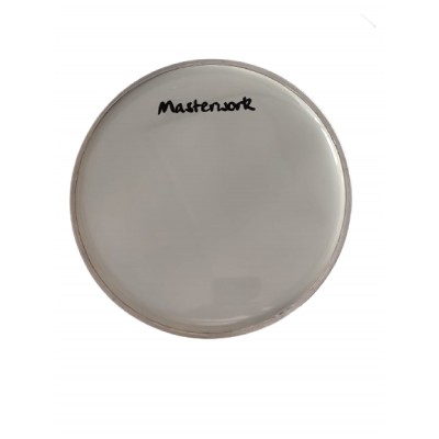 Masterwork 8,5 İNÇ Darbuka Derisi Beyaz 22 cm