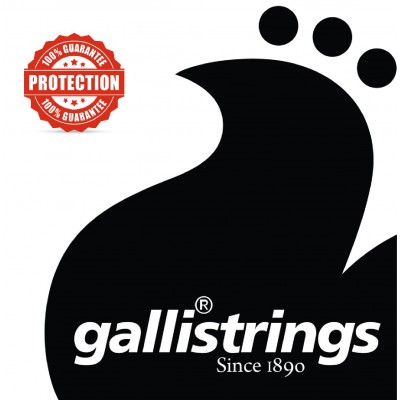 Galli Akustik Gitar Teli LS1152 Light Special