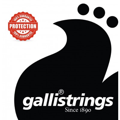Galli Elektro Gitar Teli RS 942 Light